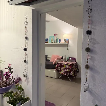 Апартаменты Studio -Patio Andaluz - Banus *
