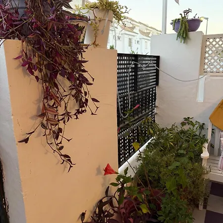 Апартаменты Studio -Patio Andaluz - Banus