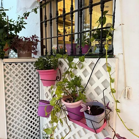 Апартаменты Studio -Patio Andaluz - Banus