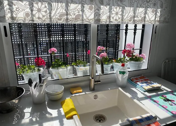 아파트 -patio Andaluz-